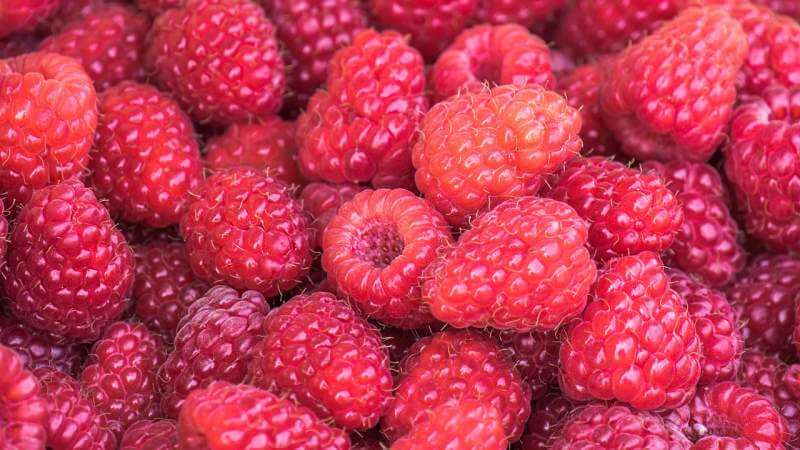 raspberries-vitamins-fruit-food