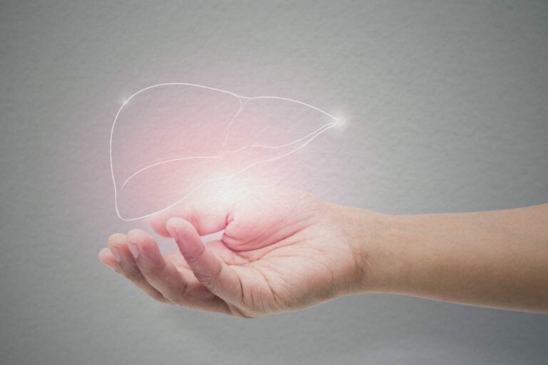 Man holding liver illustration