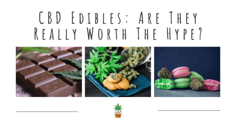 CBD Edibles- Are They Really Worth The Hype