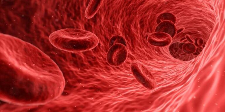 blood-cells-red-medical