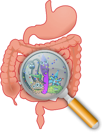 anatomy-bacteria-bacterium-bowels