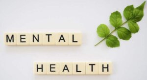 mental-health-wellness-mind