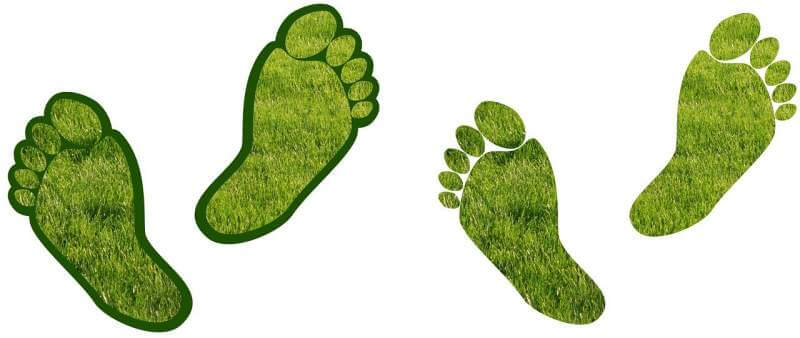 assistance-barefoot-carbon
