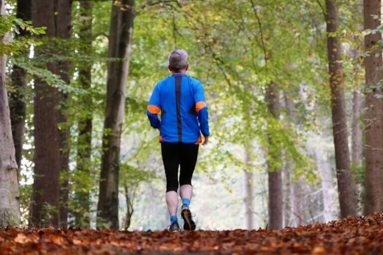 forest-nature-sports-jogger-trees