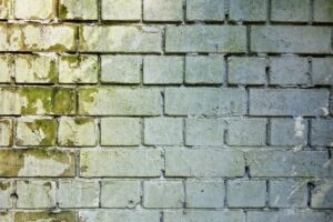 brick-wall-mold