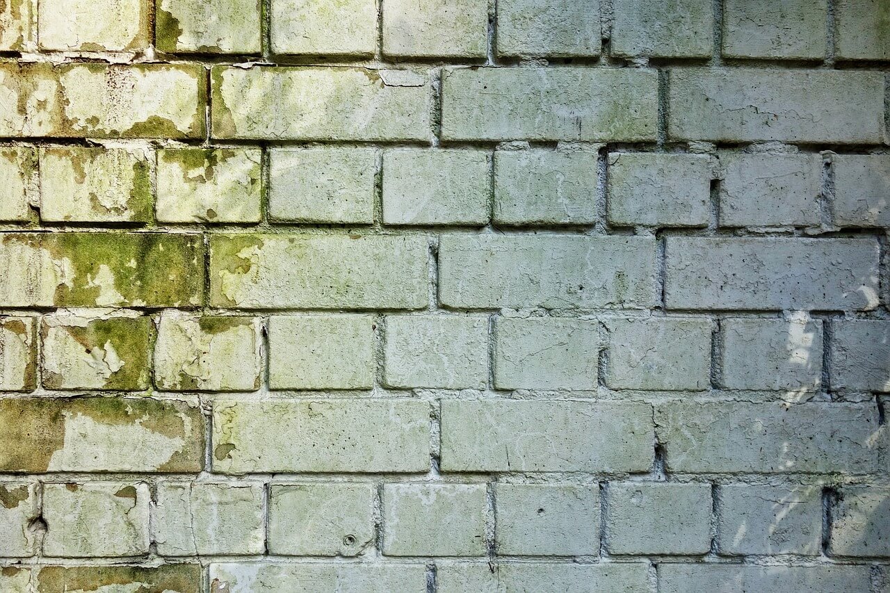 brick-wall-mold