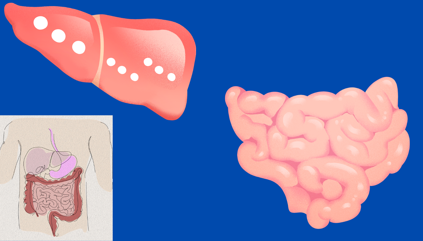 GLP-1 Medications and Fatty Liver Disease